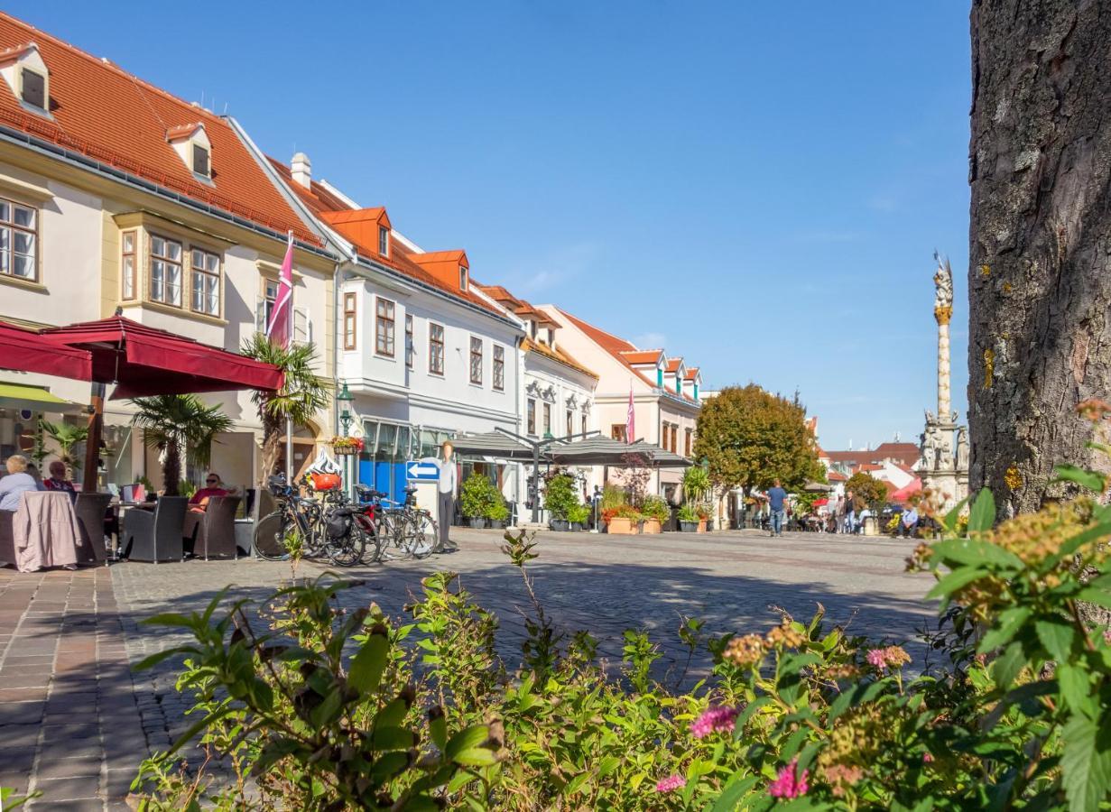 St Antoni Suite2 Stilvolle Ferienwohnung Mit Parkplatz In Eisenstadt Dış mekan fotoğraf